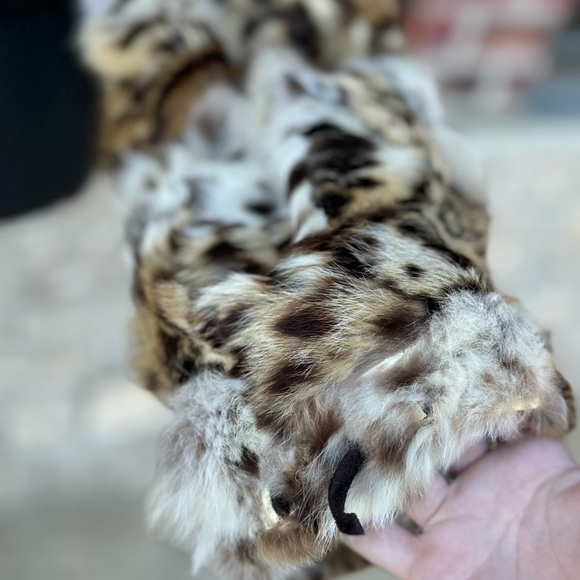 SOLD PLEASE DO NOT PURCHASE - Picture 15 of 15